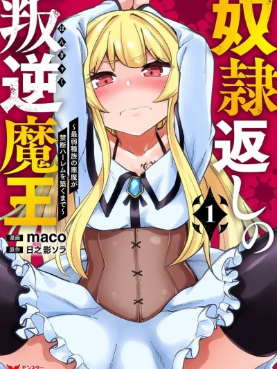 反向奴隶支配的叛逆魔王～最弱种族的恶魔建立起了禁忌后宫～ [maco、日之影ソラ] 奴隷返しの叛逆魔王～最弱种族の悪魔が禁断ハーレムを筑くまで～