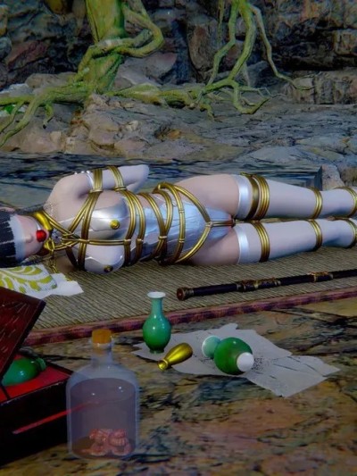 [usir] 十二缚具-初设