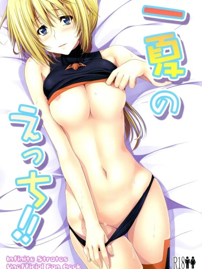 (COMIC1☆5) [ゆめようび (一梦)] 一夏のえっち!! (IS＜インフィニット・ストラトス＞) [中国翻訳]