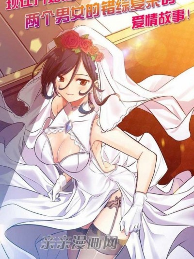 替妻子报仇 (亲亲漫画版)