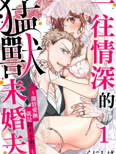 一往情深的猛兽未婚夫～激情爱抚就是停不下来！？～/一途なカレの猛獣セックス～婚约者は絶伦ヤンキー！？～