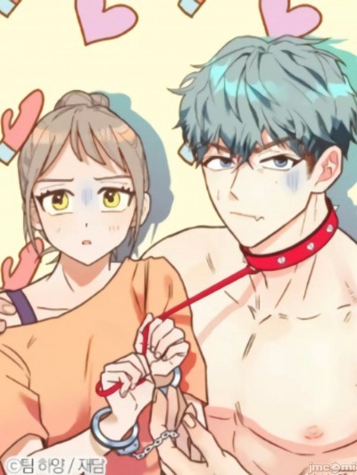 你要跑去哪里？/ 我的玩具情人