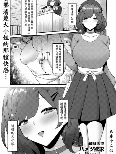 [天希个人汉化] [sinkai] ハメツ欲求 [中国翻訳]